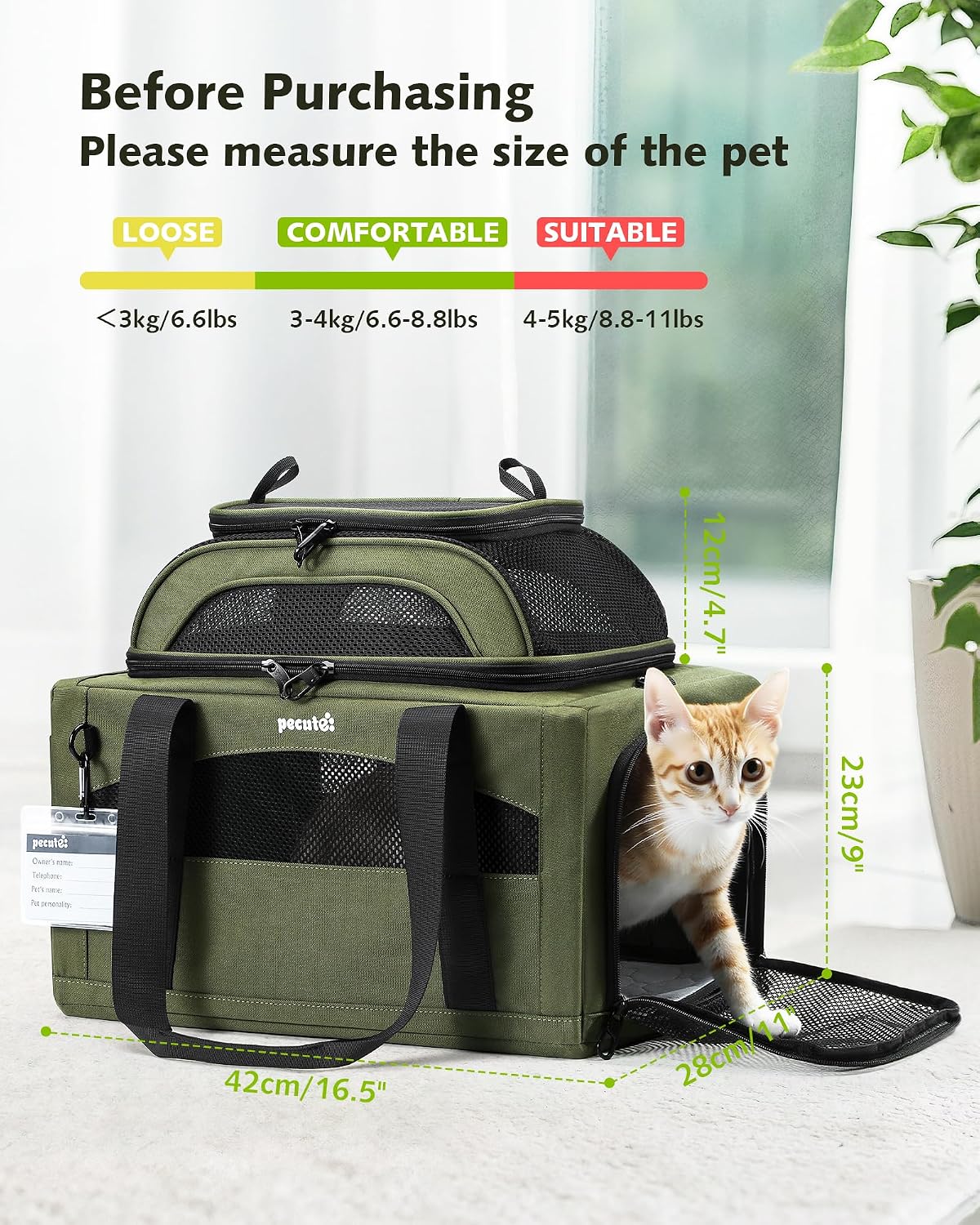 Expandable Airline Approved Pet Carrier for Cats & Dogs, Light Gray | Fits pets under 11 lbs, Under-seat airline approved, Anti-scratch mesh, Safety leash & locking zippers, Leakproof pee pad