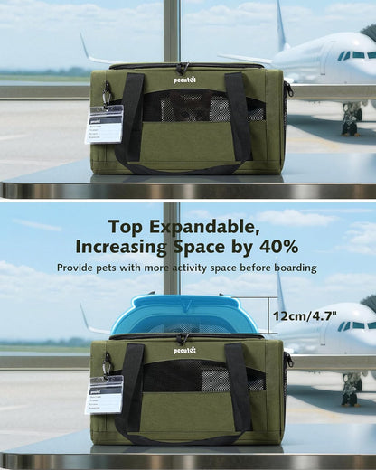 Expandable Airline Approved Pet Carrier for Cats & Dogs, Light Gray | Fits pets under 11 lbs, Under-seat airline approved, Anti-scratch mesh, Safety leash & locking zippers, Leakproof pee pad