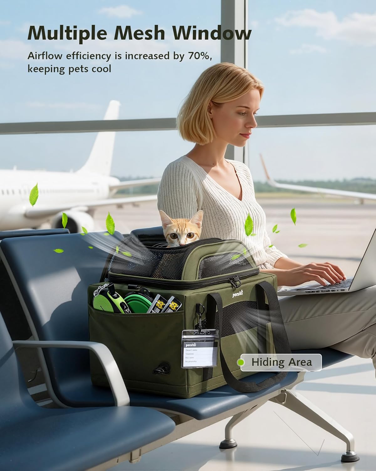 Expandable Airline Approved Pet Carrier for Cats & Dogs, Light Gray | Fits pets under 11 lbs, Under-seat airline approved, Anti-scratch mesh, Safety leash & locking zippers, Leakproof pee pad