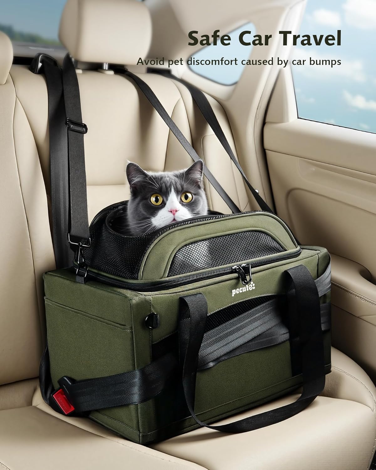 Expandable Airline Approved Pet Carrier for Cats & Dogs, Light Gray | Fits pets under 11 lbs, Under-seat airline approved, Anti-scratch mesh, Safety leash & locking zippers, Leakproof pee pad