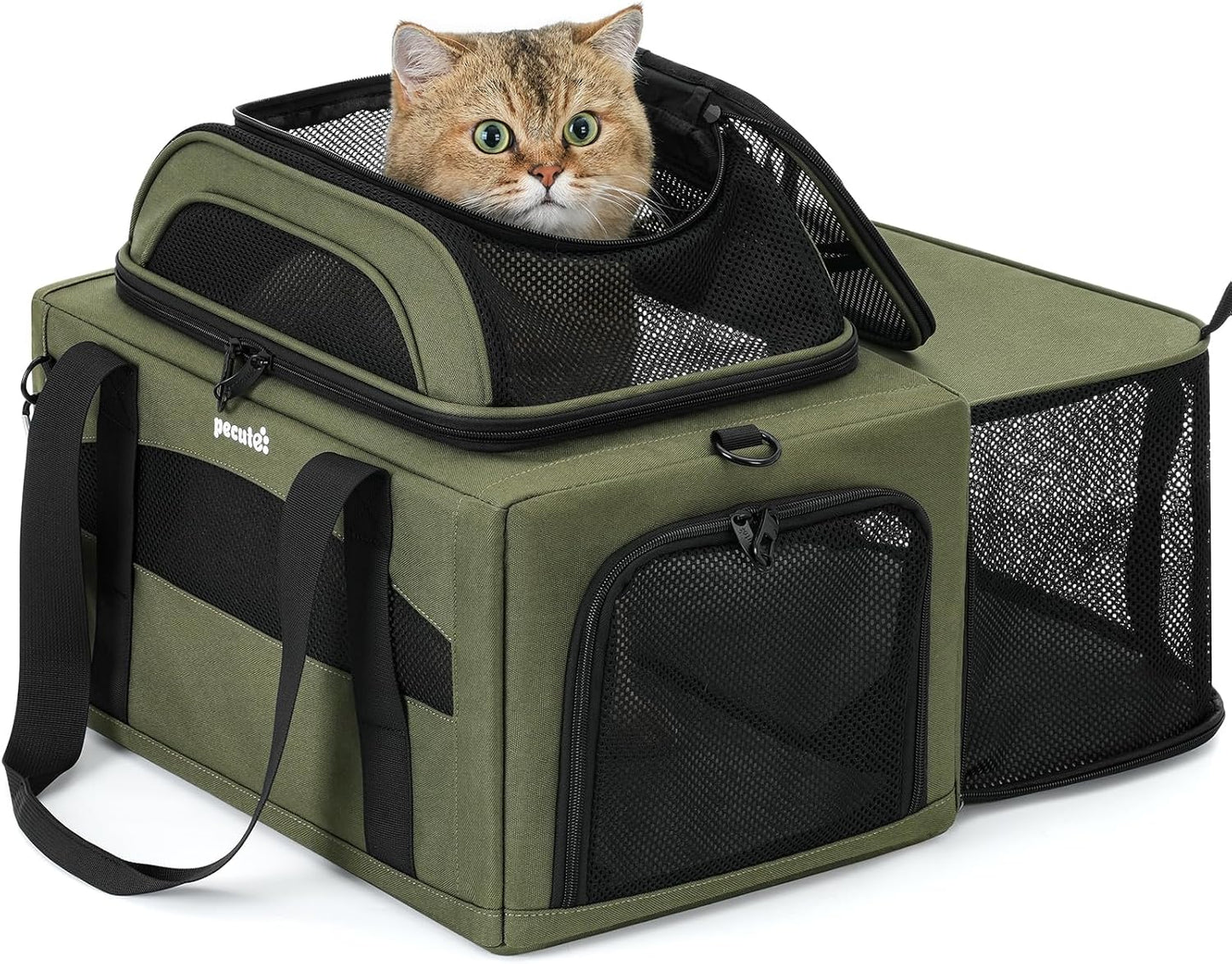 Expandable Airline Approved Pet Carrier for Cats & Dogs, Light Gray | Fits pets under 11 lbs, Under-seat airline approved, Anti-scratch mesh, Safety leash & locking zippers, Leakproof pee pad