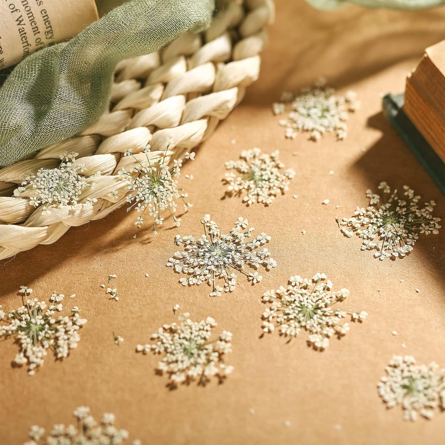 200 Pcs Pressed Dried Flowers for Resin Art Ammi Majus Natural Pressed Dried Flower Dry Flowers for Crafts DIY Wedding Home Decor Scrapbooking Gift Soap Candle Making