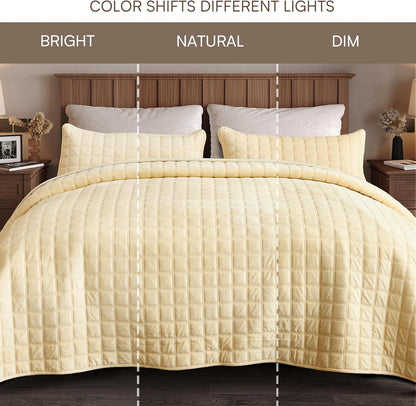 Double-Sided Velvet Queen Size Quilt Comforter Set, Reversible 92''x96'' Oversized Luxury Ultra Soft Bedspread with 2 Matching Shams, All-Season Bedding, Cream Yellow