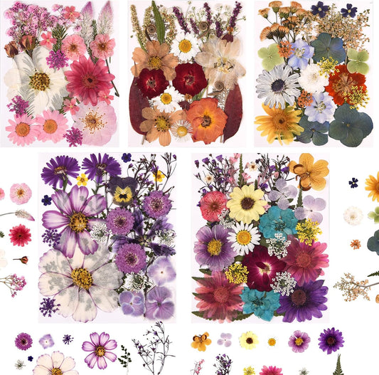 5 Packs of 140 Pressed Dried Flowers and Leaves for Resin | Assorted Real Natural Dry Flowers with Tweezers For DIY Crafts, Jewelry, Card Making, Soap,Candles, Nail Art, Scrapbooking