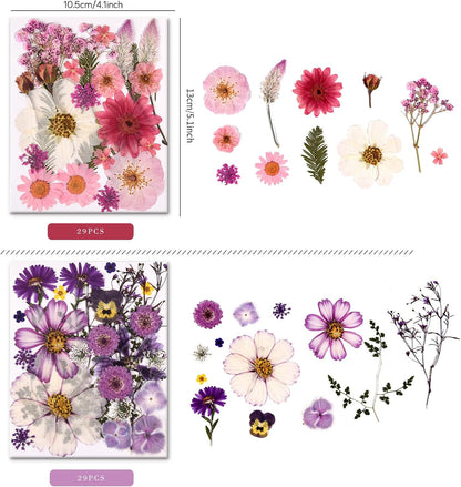 5 Packs of 140 Pressed Dried Flowers and Leaves for Resin | Assorted Real Natural Dry Flowers with Tweezers For DIY Crafts, Jewelry, Card Making, Soap,Candles, Nail Art, Scrapbooking