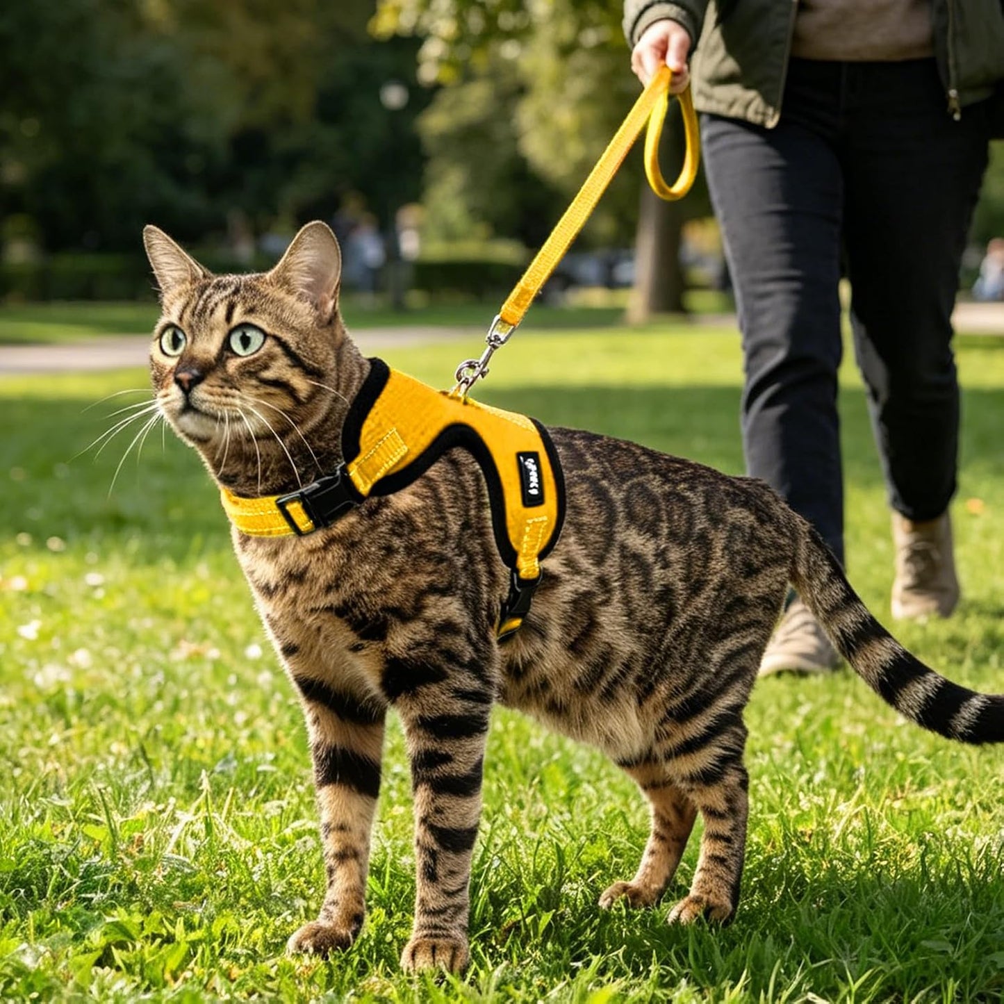 Cat Harness and Leash Set Escape Proof, Reflective Adjustable Soft Mesh Pet Vest Harness for Walking Travel, Yellow S