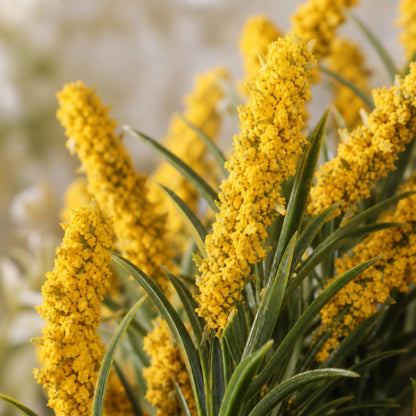 3 Pcs Fall Faux Salvia Artificial Fake Flowers 36inch Yellow Salvia Flower Stems for Artificial Sage Plants with Foliage and Flower for Indoor Home Decor Wedding Centerpiece Autumn Decor