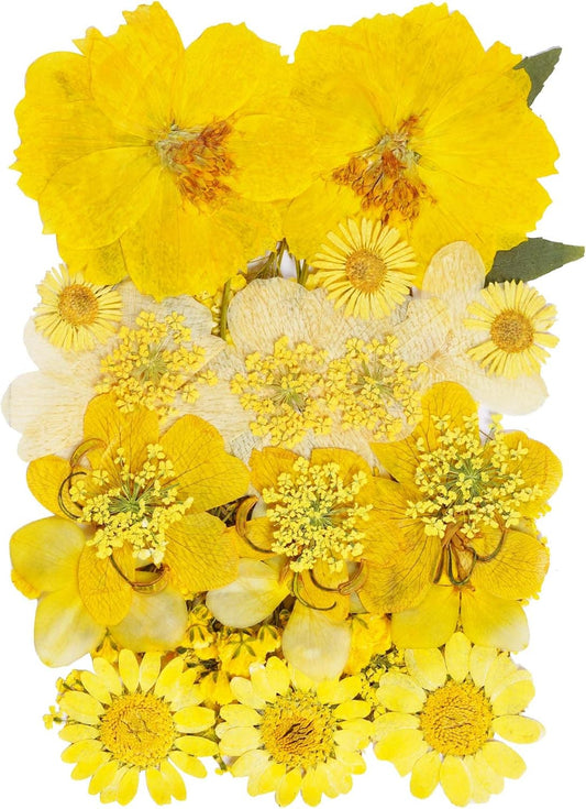 Natural Dried Flowers Mixed Multi-Color Pressed Flower Mini Rose Hydrangea Daisy for Art Craft DIY Resin Nail Art Floral Decors (Yellow)