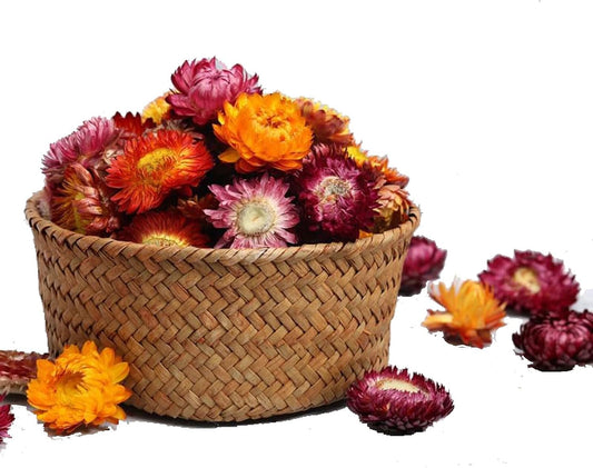 Natural Dried Daisy Flowers Heads - 55~60 Pcs Gerbera Daisies Real Sunflowers Chrysanthemum, Dry Flower Arrangements for Wedding Decor, Home Party Decoration and DIY Craft (Multi Colors)
