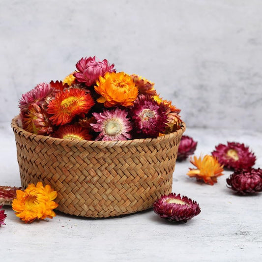 Natural Dried Daisy Flowers Heads - 55~60 Pcs Gerbera Daisies Real Sunflowers Chrysanthemum, Dry Flower Arrangements for Wedding Decor, Home Party Decoration and DIY Craft (Multi Colors)