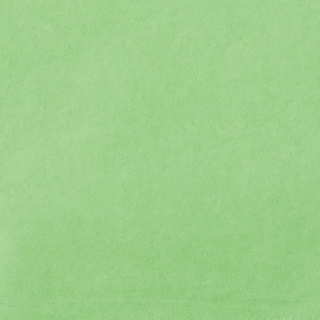 Lime Green Paper Tissue Sheets - 20" x 26" (10 Ct) - Ideal for DIY Projects, Gift Wrapping, & Event Decor