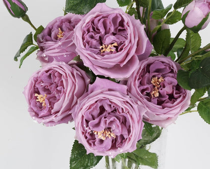 Real Touch Austin Roses Peonies Artificial Flowers 4 Bouquets Latex Fake Peonies with Long Stem Realistic Faux Peonies Flower for Wedding Party Home Table Centerpieces Decorations (Champagne)