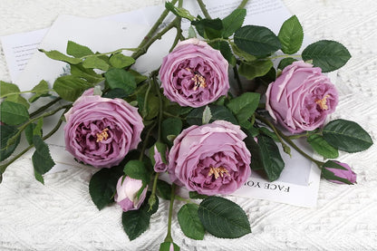 Real Touch Austin Roses Peonies Artificial Flowers 4 Bouquets Latex Fake Peonies with Long Stem Realistic Faux Peonies Flower for Wedding Party Home Table Centerpieces Decorations (Champagne)