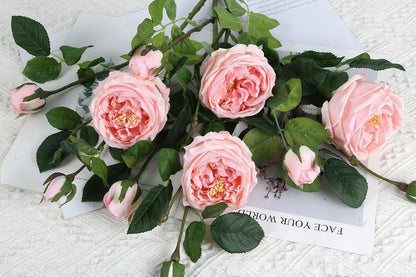 Real Touch Austin Roses Peonies Artificial Flowers 4 Bouquets Latex Fake Peonies with Long Stem Realistic Faux Peonies Flower for Wedding Party Home Table Centerpieces Decorations (Champagne)