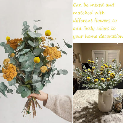 40 Pcs Natural Dried Flowers Craspedia Billy Balls Flowers Billy Buttons Yellow 3cm Autumn Dried Floral Bouquet Arrangements for Fall Harvest Wedding Home Tall Vase Boho Decor