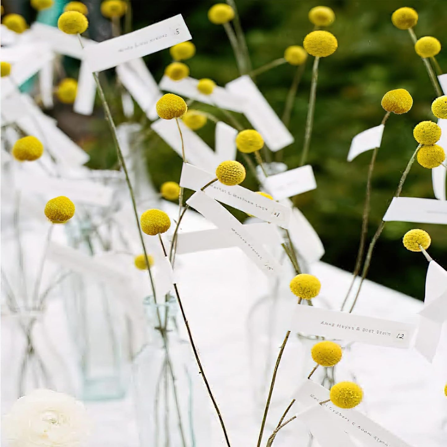 40 Pcs Natural Dried Flowers Craspedia Billy Balls Flowers Billy Buttons Yellow 3cm Autumn Dried Floral Bouquet Arrangements for Fall Harvest Wedding Home Tall Vase Boho Decor