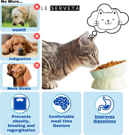 Ceramic Raised Cat Bowl, Elevated Pet Food Bowl for Small Dog, Cute Cat Dish Tilted, Whisker Fatigue, Wrinkle Texture (Yellow)