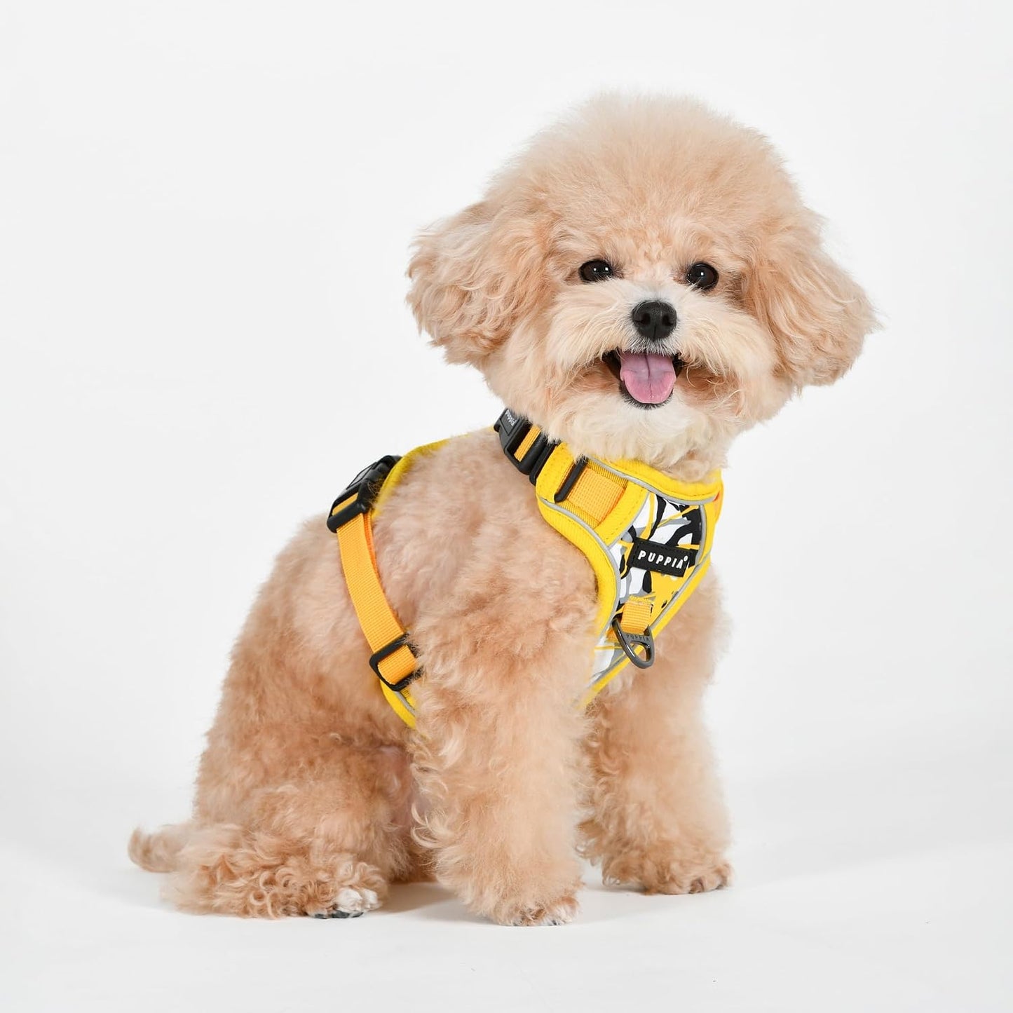 Abstract Dog Harness H Sturdy Adjustable Neck and Chest Reflective Paint Pattern Front and Back D-Ring for Small and Medium Dogs, Yellow, Medium