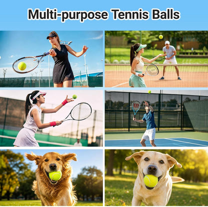 Tennis Balls 6 Pack Training Tennis Balls,High Elasticity Practice Tennis for Beginner, Exercise Playing Balls for Pet Dog