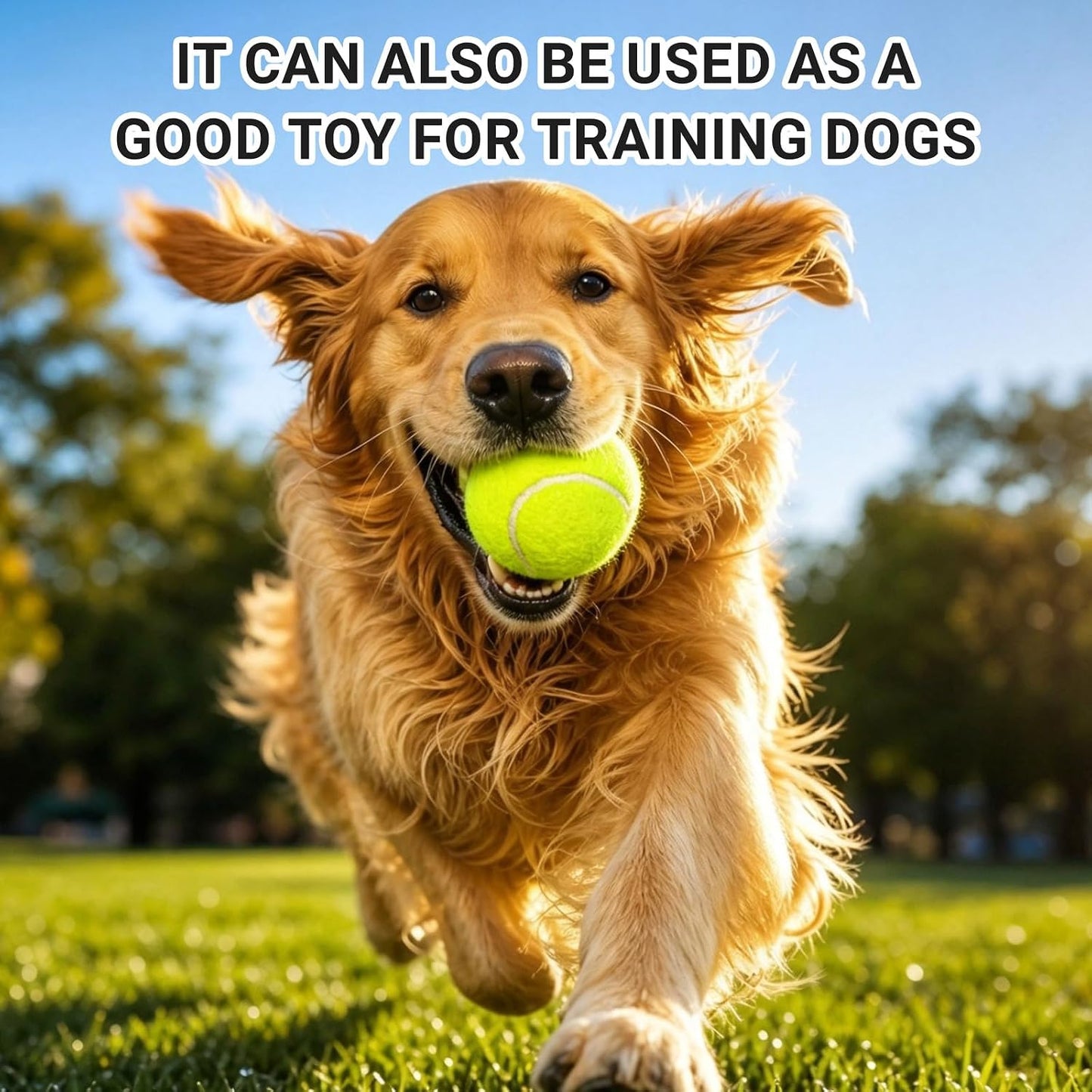 Tennis Balls 6 Pack Training Tennis Balls,High Elasticity Practice Tennis for Beginner, Exercise Playing Balls for Pet Dog