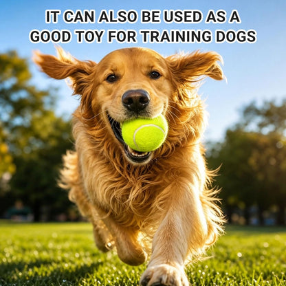 Tennis Balls 6 Pack Training Tennis Balls,High Elasticity Practice Tennis for Beginner, Exercise Playing Balls for Pet Dog