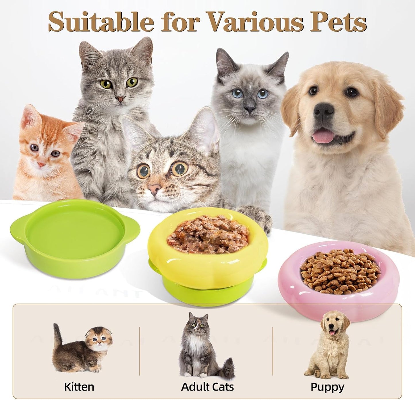 Ceramic Cat Food Bowl Set of 2,Flower Anti Whisker Fatigue Cat Bowls/Dishes,for Wet Dry Food and Water,Cute Kitten Feeding Shallow Bowls,for Indoor Outdoor, Dishwasher Safe, Non-Slip(Yellow)