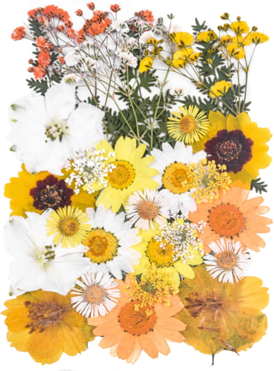 Dried Pressed Flowers for Resin Molds,Real Natural Pressed Flowers for DIY Art Crafts,Candle Making, Nails Décor,Soap Making, Phone Case Yellow White
