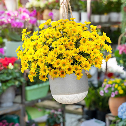 16 Bundles Silk Daisy Artificial Flowers for Outdoors UV Resistant Fake Daisies Plastic Plants Flower for Home Outside Front Door Porch Garden Patio Planters Decoration (Yellow)