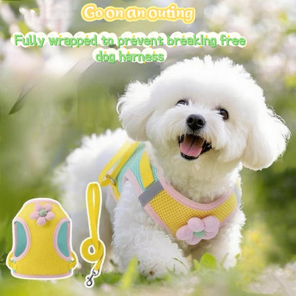Floral Mesh Dog Harness with Matching Leash, Yellow, L (16-20lbs) | Lightweight Pet Vest, Suitable For Small And Medium-sized Cats And Dogs
