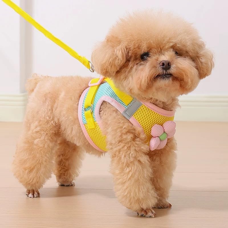 Floral Mesh Dog Harness with Matching Leash, Yellow, L (16-20lbs) | Lightweight Pet Vest, Suitable For Small And Medium-sized Cats And Dogs