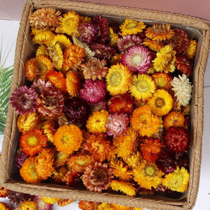 Natural Dried Flowers for Crafts, 45-60 Pcs Mixed Daisies & Sunflower Heads, Chrysanthemum Petals for Candle Making, Wreaths, Wedding Decor, DIY Crafts
