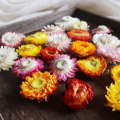 Natural Dried Flowers for Crafts, 45-60 Pcs Mixed Daisies & Sunflower Heads, Chrysanthemum Petals for Candle Making, Wreaths, Wedding Decor, DIY Crafts