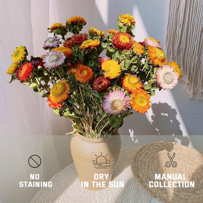 Natural Dried Flowers for Crafts, 45-60 Pcs Mixed Daisies & Sunflower Heads, Chrysanthemum Petals for Candle Making, Wreaths, Wedding Decor, DIY Crafts