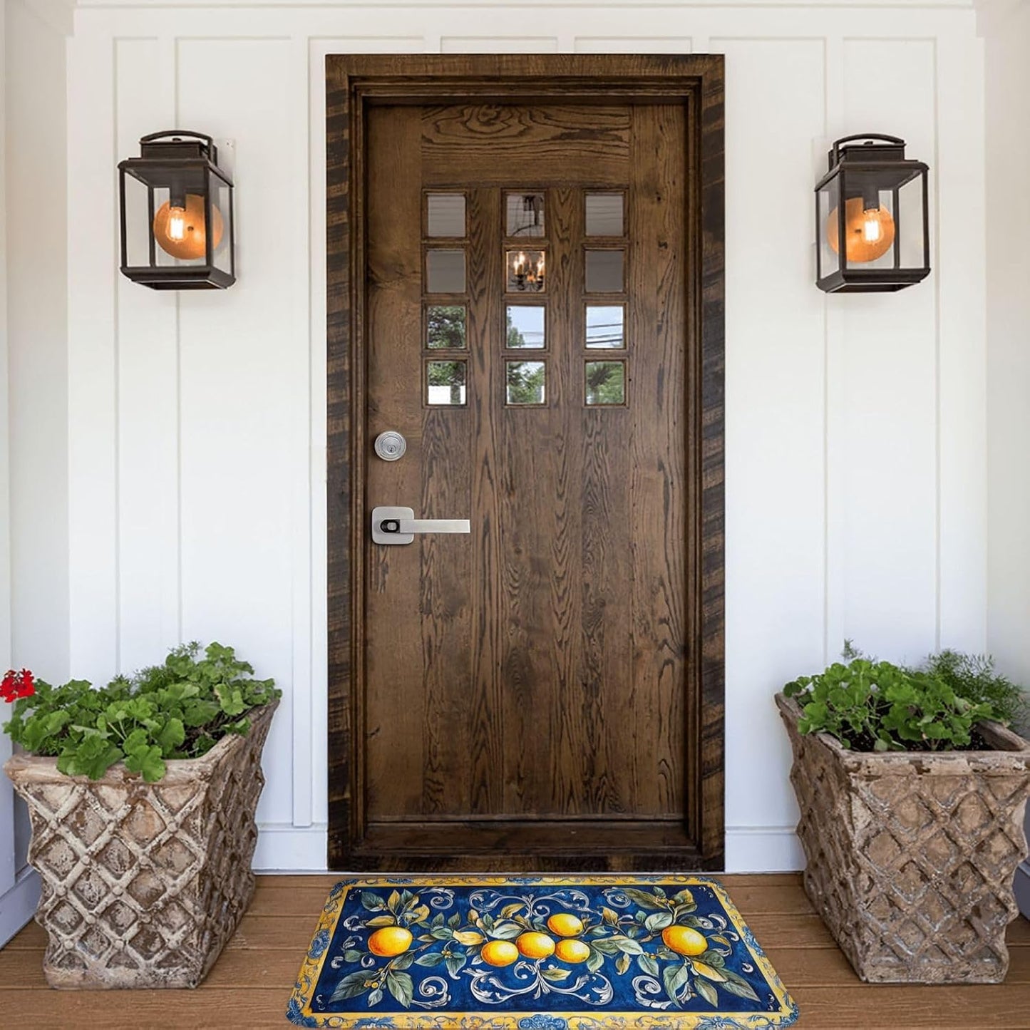 Fruit Rug, Blue Print Background with Lemons, Indoor Living Room Entrance Floor Decorative Doormat, dust Removal, Non-Slip, Easy to Clean 16x24 inches Absorbent, Flannel floormat