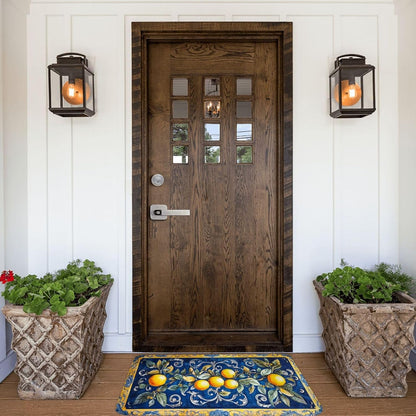Fruit Rug, Blue Print Background with Lemons, Indoor Living Room Entrance Floor Decorative Doormat, dust Removal, Non-Slip, Easy to Clean 16x24 inches Absorbent, Flannel floormat