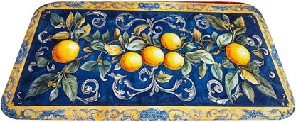 Fruit Rug, Blue Print Background with Lemons, Indoor Living Room Entrance Floor Decorative Doormat, dust Removal, Non-Slip, Easy to Clean 16x24 inches Absorbent, Flannel floormat