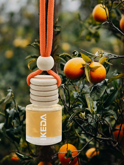 Car Fresheners for Men & Women, 45+Day Long Lasting Fragrance Hanging Air Fresheners Scents, with Clip, Perfect for Auto and Home,Christmas,10ml, Lemon