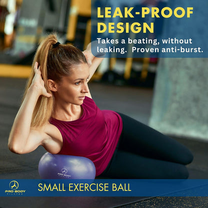 Small Exercise Ball with Pump - 9 Inch Workout Ball for Stability, Barre, Yoga, Core & Physical Therapy