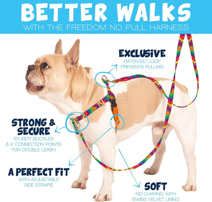 Freedom No Pull Dog Harness, Adjustable Harness and Leash Set, Easy Walking & Comfortable Control, Fits Small, Medium & Large Dogs, Solid Colors, Made in USA, 1" LG, Yellow