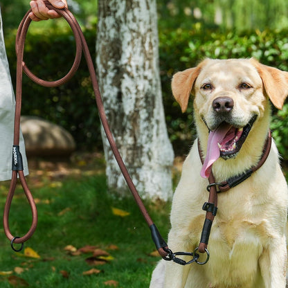 Rope Dog Leash, 6 Foot Heavy Duty Dog Leash with Aviation Aluminum Auto Locking Carabiner, Strong Nylon Pet Lead for Small, Medium, Large Dogs (Yellow, 6FT)