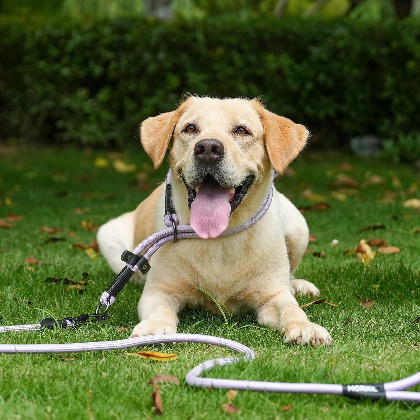Rope Dog Leash, 6 Foot Heavy Duty Dog Leash with Aviation Aluminum Auto Locking Carabiner, Strong Nylon Pet Lead for Small, Medium, Large Dogs (Yellow, 6FT)