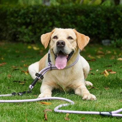 Rope Dog Leash, 6 Foot Heavy Duty Dog Leash with Aviation Aluminum Auto Locking Carabiner, Strong Nylon Pet Lead for Small, Medium, Large Dogs (Yellow, 6FT)