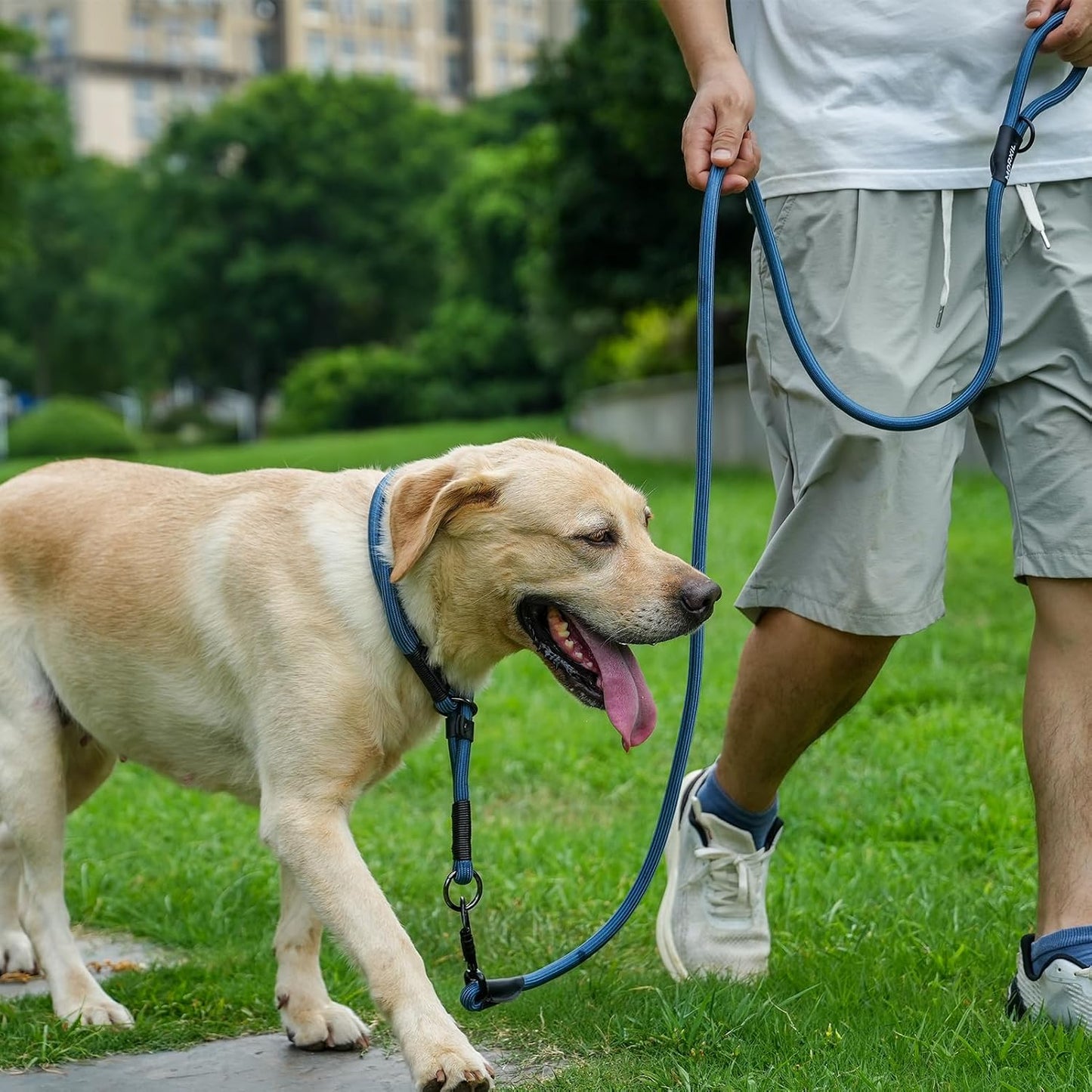 Rope Dog Leash, 6 Foot Heavy Duty Dog Leash with Aviation Aluminum Auto Locking Carabiner, Strong Nylon Pet Lead for Small, Medium, Large Dogs (Yellow, 6FT)