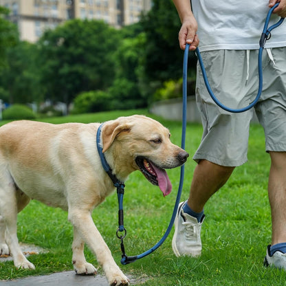 Rope Dog Leash, 6 Foot Heavy Duty Dog Leash with Aviation Aluminum Auto Locking Carabiner, Strong Nylon Pet Lead for Small, Medium, Large Dogs (Yellow, 6FT)