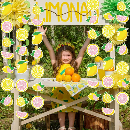 8 Pcs Lemon Party Banners Pink Lemon Paper Garland Birthday Party Decorations for Wedding Birthday Baby Shower Bridal Summer Fruit Decorations