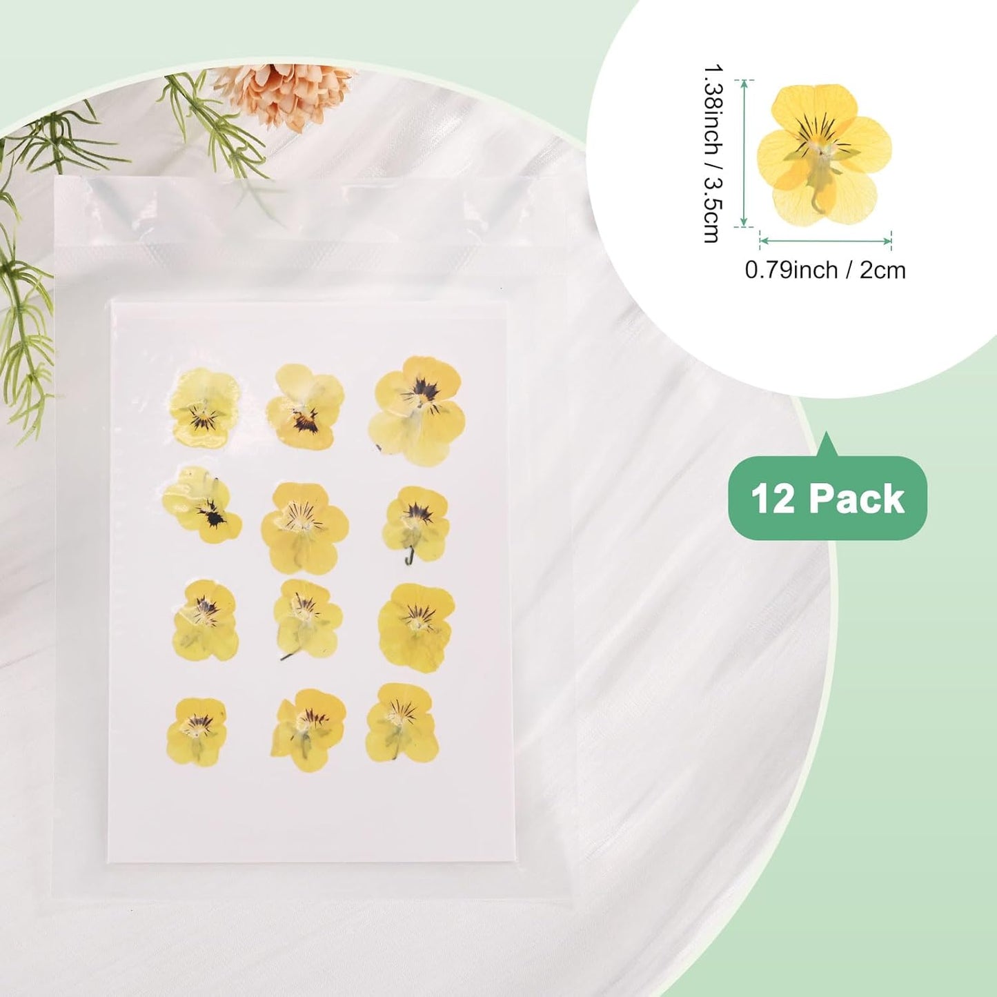 12-Pack Dried Pressed Flowers for Resin, Real Natural Bulk Dry Floral for Crafts/DIY Jewelry/Soap Making/Scrapbooking/Candle/Epoxy Resin Supplies/Flower Painting [Yellow Black]