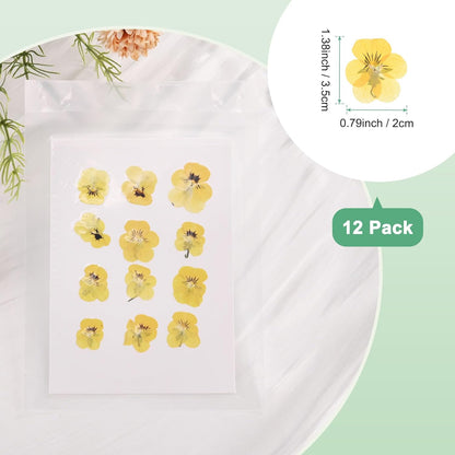 12-Pack Dried Pressed Flowers for Resin, Real Natural Bulk Dry Floral for Crafts/DIY Jewelry/Soap Making/Scrapbooking/Candle/Epoxy Resin Supplies/Flower Painting [Yellow Black]