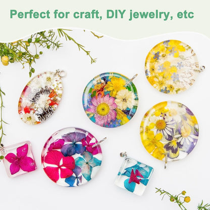 12-Pack Dried Pressed Flowers for Resin, Real Natural Bulk Dry Floral for Crafts/DIY Jewelry/Soap Making/Scrapbooking/Candle/Epoxy Resin Supplies/Flower Painting [Yellow Black]