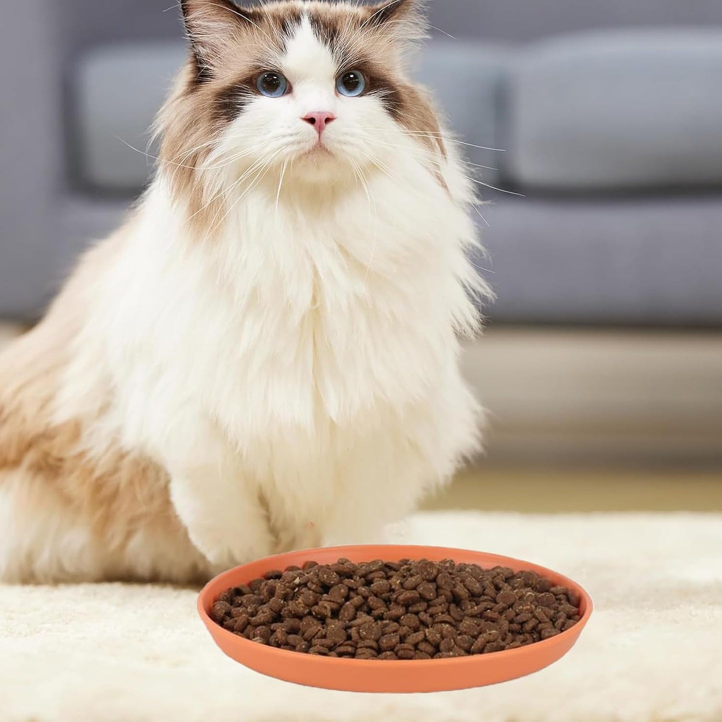 4 Pcs Cat Food Dish 5.9 Inch Shallow Cat Wet Feeding Bowls Whisker Friendly Wide Wheat Straw Pet Plate Colorful Flat Cat Bowl for Kittens and Short Legged Cat