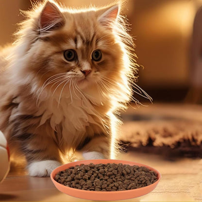 4 Pcs Cat Food Dish 5.9 Inch Shallow Cat Wet Feeding Bowls Whisker Friendly Wide Wheat Straw Pet Plate Colorful Flat Cat Bowl for Kittens and Short Legged Cat